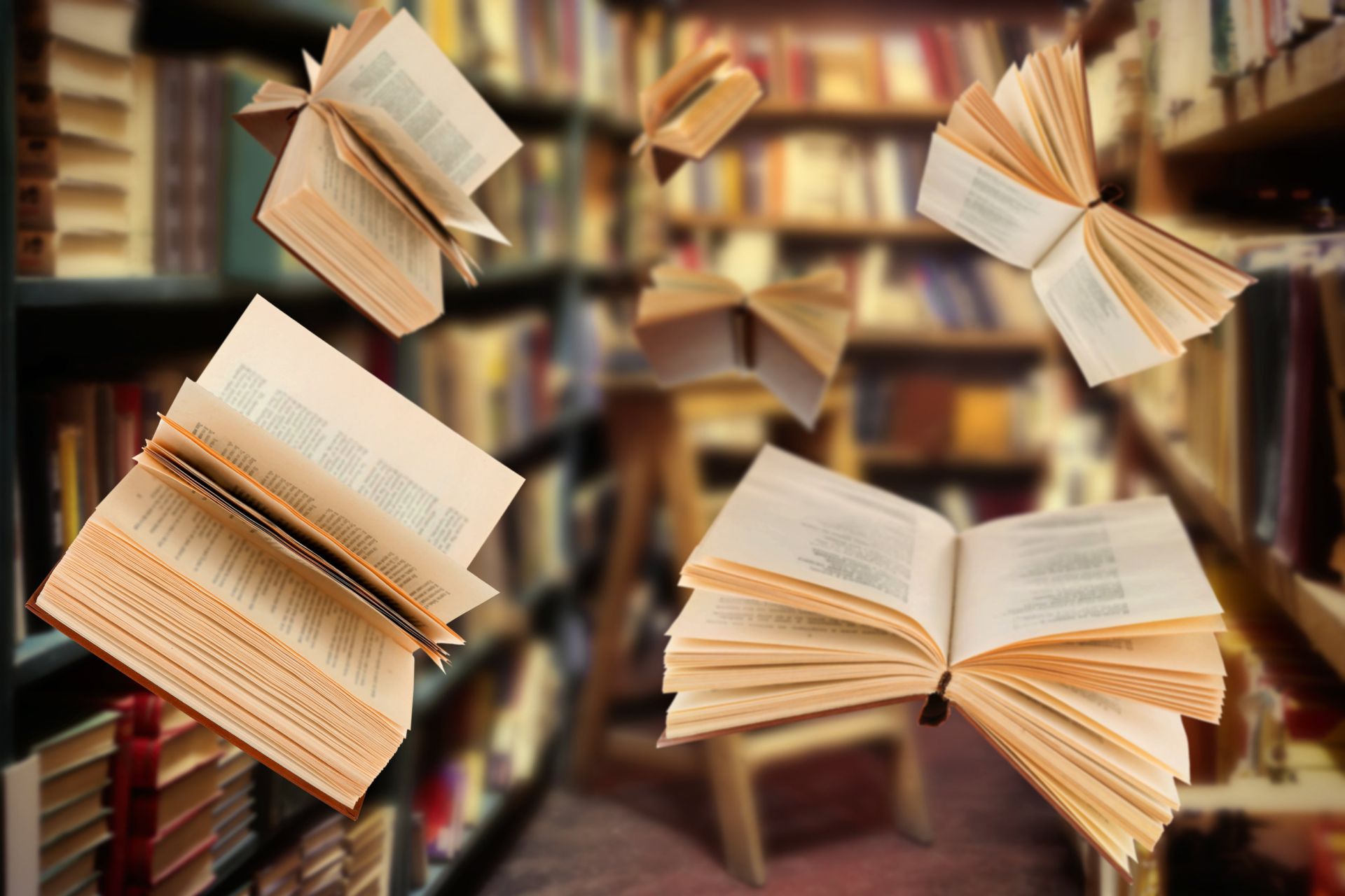 Dzień Bibliotekarza i Bibliotek 2025